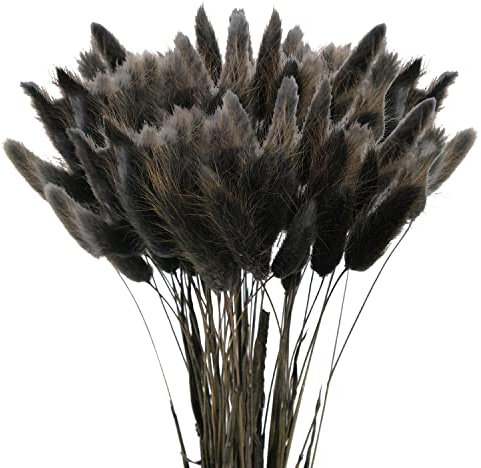 60 Pcs Getrocknetes Pampasgras,Lagurus Getrocknet,Trockenblumen Bodenvase,Pampasgras Blumenstrauß,Trockenblumen Blumenstrauß Deko, Künstlich Groß Trockenblumen