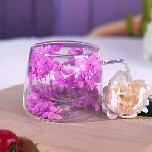 Richaa Dried Flowers Double Walled Glass Mug with Handle - 200ml Cappuccino Cup Hot Chocolate Mug Latte Glass Coffee Mug Original Gifts