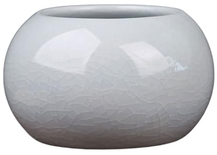 ZwaitL Einzigartiger, antiker geförderter Wasserkultur-Vase, Pflanzgefäß für Schreibtisch-Display und kreatives Gemüsearrangement, eleganter Pflanzenbehälter