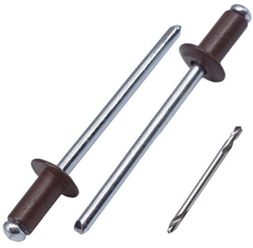 SKIR'CO (150 Stück) Blindnieten lackiert 4,0 x 10 mm, Aluminium Popnieten, Bohrer enthalten (Schokobraun RAL 8017)