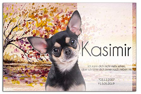 CHRISCK design Premium Tier Grabstein aus edlem Hochglanz Acrylglas | 100% witterungsbeständig Grabplatten mit Foto Bild UV Druck 30x20 cm Gedenktafel für Haustiere Hunde Hund Katze