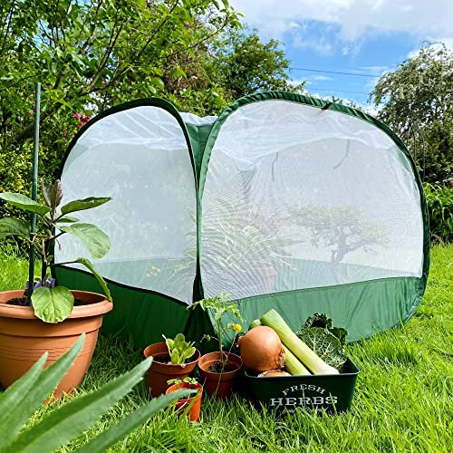 Insect Mesh Fruit Cage Cloche for Growing Vegetables | Pop Up Garden Netting Greenhouse Plant Cover for Veg Patch Crop Protection Raised Beds Planters Allotment (1.25x1.25x0.75m H, Pk 1)