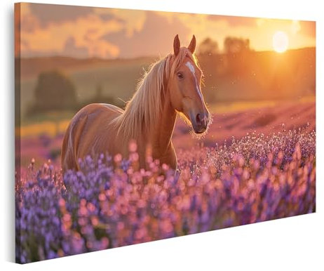 islandburner Prime Bild auf Leinwand Pferd Steht elegant in einem Lavendelfeld voller leuchtender Farben und Kontraste Bilder Wandbilder Poster