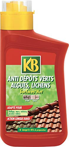 KB Anti Dépôts Verts, Algues, Lichens, 1L