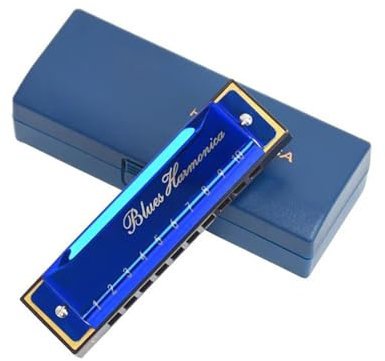 Professional Mundharmonika Mundharmonika C-Tonart 10 Löcher Mundharmonika Maultrommel Professionelle Musikinstrumente Mit Etui(Blue)