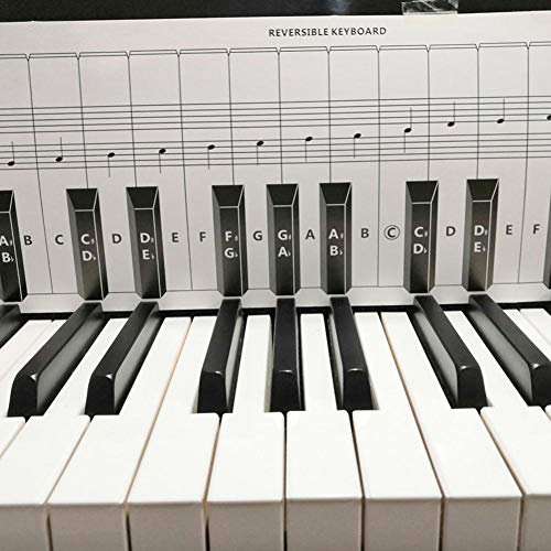 Foliner Piano and Keyboard Note Chart 88 Keys Piano Practice Keyboard Note Chart Piano Learning Aid Set Behind the Keys Great for Kids Beginners