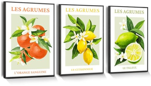 hyidecorart Citrus Fruit Canvas Wall Art with Black Frame, Modern Fruit Lemon Blood Orange Wall Pictures Living Room Farm Garden Decoration Kitchen Dining Room Bedroom Bathroom and Office