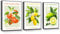 hyidecorart Citrus Fruit Canvas Wall Art with Black Frame, Modern Fruit Lemon Blood Orange Wall Pictures Living Room Farm Garden Decoration Kitchen Dining Room Bedroom Bathroom and Office