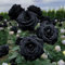 Bulbos De Rosas Raros, Rosas Perennes De Rosal, Flores Fragantes De Enredadera De Rosal, FáCiles De Cultivar-3 Bulbo-D