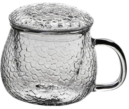 DECORNIJIA Tazza da Tè in Vetro Decorativo Spesso con Infusore Integrato Manico Antiscottatura e Filtro Separabile Resistente al Calore per Ufficio e Uso Quotidiano