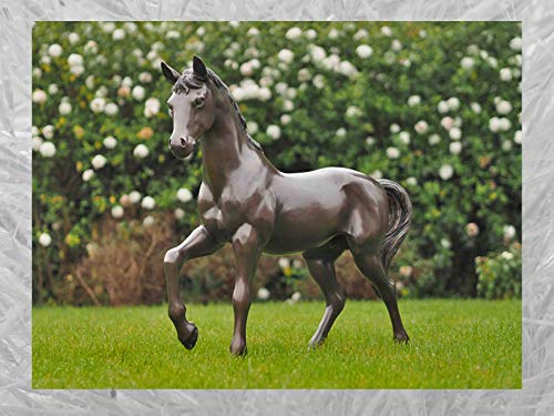 IDYL Bronze-Skulptur Pferd 81 cm | 81x20x84 cm | Tierfigur aus Bronze handgefertigt | Gartenskulptur oder Teich-Dekoration | Hochwertiges Kunsthandwerk | Wetterfest