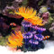 senlinlv Künstliche Koralle Aquarium Dekoration Fisch Tank Simulation Silikon Pflanzen Blume Kunststoff Soft Sea Anemone Landschaft Dekoration