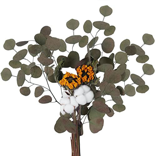 HUAESIN Ramo de Flores Secas Naturales Pequeñas 55cm Rama Algodon Natural con Hojas Hojas Eucalipto Secas y Girasoles Artificial Planta para Jarrones Navidad Mesa Boda Regalo Hogar Chimenera