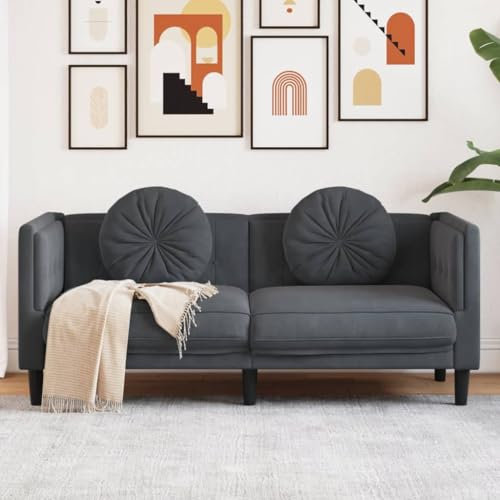 SECOLI Sofa 2 sitzer Sofa 2er Sofa 2 sitzer skandinavisch Sofa 2 sitzer Samt für Zuhause und Büro-Dunkelgrau-2-Sitzer-2