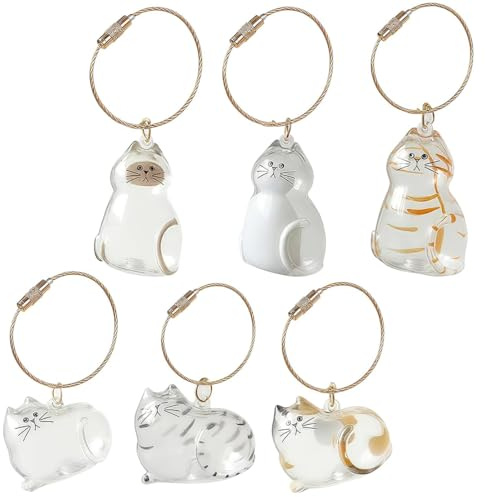 QEDBOJE Lot de 6 Porte-clés Poils de Chat, Boîte de Rangement en Acrylique Transparent pour Poils d'Animaux, Médaillon Souvenir pour Animaux (Transparent)