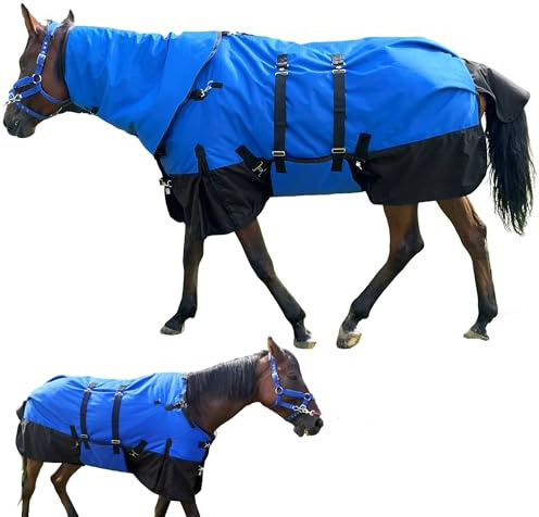 Pferdedecke, schwere Pferdedecke mit 300 g Poly-Füllung, Halsabdeckung und Bauchwickel, 1680D wasserdichte Winterdecken für Pferde (Blau, 145 cm)