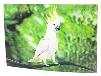 3 D Ansichtskarte Kakadu, Postkarte Wackelkarte Hologrammkarte Tier Vogel Papagei