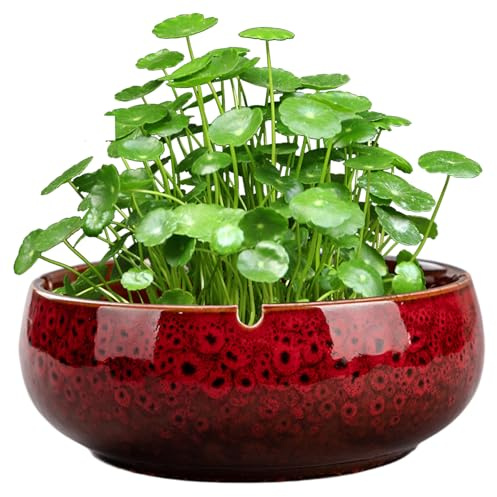 Peosaard Bonsai Potted Flower Pot, Lotus Bowl Planter, Red Ceramic Non-Porous Hydroponic Container, Round Water Lily Succulent Household Simple Ceramic Basin/6.5x2.5 Inch