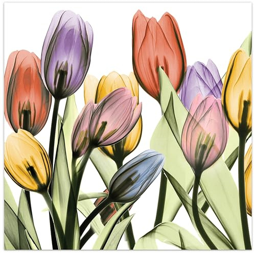 Empire Art Direct Tulip Scape X-Ray I Flower Wall Art on Frameless Free Floating Tempered Glass Panel Fertig zum Aufhängen, Wohnzimmer, Schlafzimmer und Büro, Hartglas Papier, 24L x 0.2W