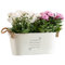 Engraved Garden Planters for Outdoor and Indoor - Grandma's Long Plant Pots | Mum, Dad, Anniversary, Grandad and Nan Gifts for Birthday | Dust and Things