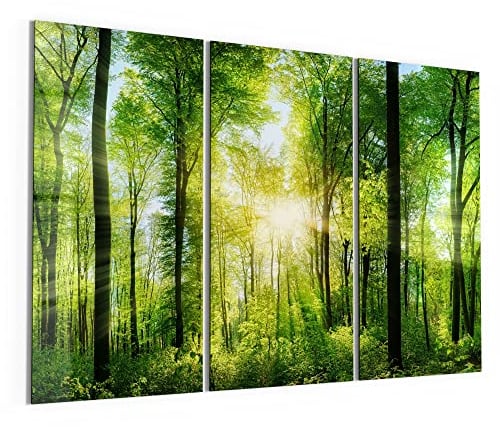 DEQORI Glasbilder Acrylglas | Motiv Sonne durchbricht Wald | horizontal 3-teilig 150x100 cm | große XXL Deko | Wandbilder für Wohnzimmer, Schlafzimmer, Flur & Küche | moderne Wanddeko
