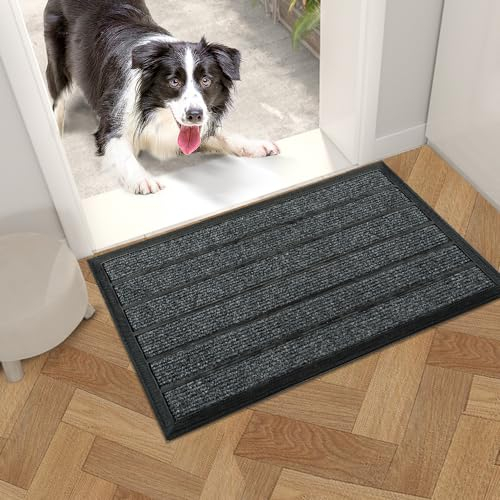 Qingbei Rina Fußmatte Außen, 40x60cm Fußmatte Outdoor, Schmutzfangmatte, Mit Rutschhemmender Rückseite Fußabtreter, Fußmatte Hereinspaziert, Robuster Türvorleger für Innen & Außen, Grau