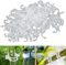 100 Pcs Pflanzenclips für Kletterpflanzen, Pflanzenklammern Kletterhilfe Pflanzen, Kunststoff Tomatenklammern für Kletterpflanzen, Pflanzen Clips für Gemüse Tomate Pflanzen (100, Transparent)