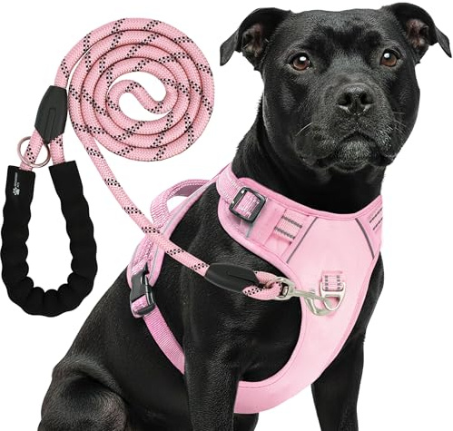 Reichstadt Pets Hundegeschirr mit Leine Set 25RSP083-4 Pink L
