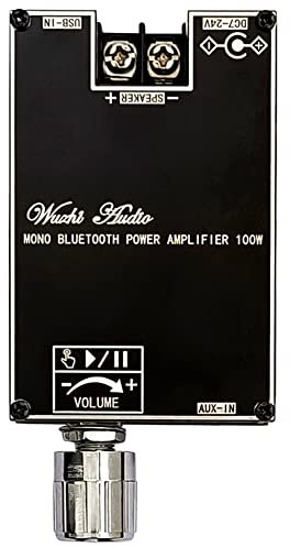 Surluoen -1001B Modulo Amplificatore di Potenza Audio BT Mono da 100 W True Wireless