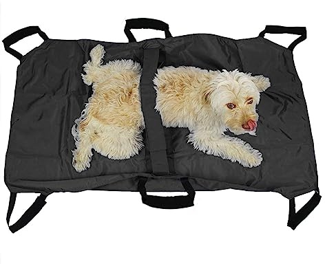 Trasportino per animali con cinghia, aiuta cani anziani al piano di sotto