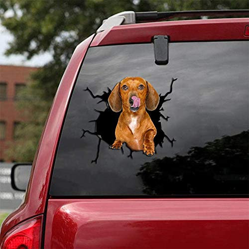 Ocean Gift Dackel Auto Aufkleber, Hund Auto Aufkleber 2 Stück - Realistische Dackel Aufkleber für Autofenster, Wände Serie 70 Größe 20,3 x 20,3 cm