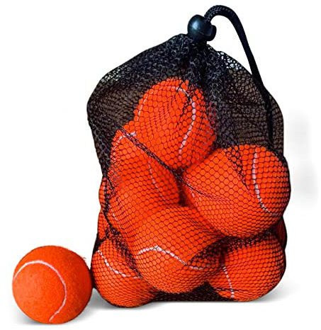 Magicorange - Confezione da 12 palline da tennis per allenamento avanzato, palline da gioco per cani, con borsa a rete per un facile trasporto, palla da allenamento per principianti (arancione)