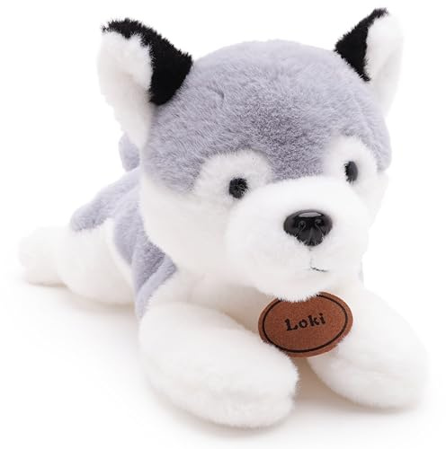 Toyland® 25 cm (10 Zoll) Loki der Husky Plüschtier – liegender Plüschhund – Geeignet ab Geburt