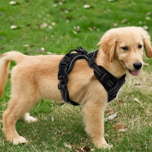 FSROOMZ Hundegeschirr Anti Zieh für Kleine und mittelgroße Hunde, Anti Zug Welpen Sicherheitsgeschir No Pull Dog Harness, Weich, Gepolstert, verstellbar, Atmungsaktiv, Reflexstreifen Brustgeschirr (S)
