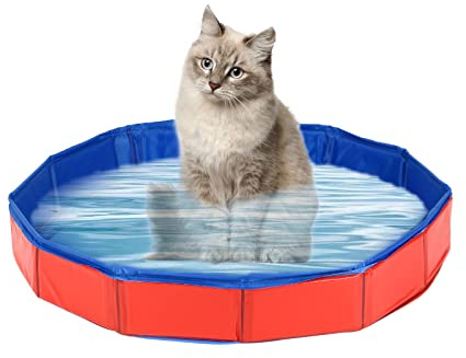 Inscrip Hundepool für Kleine Hunde, 50x8cm PVC Hundeplanschbecken, Planschbecken für Haustiere, Hund Schwimmbecken Tragbare, Faltbar rutschfest Hundepool für Kleine Haustier Hund Katze