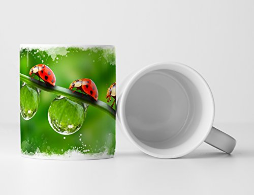 Eau Zone Fotokunst Tasse Geschenk Tierfotografie – Zwei Marienkäfer mit Tautropfen