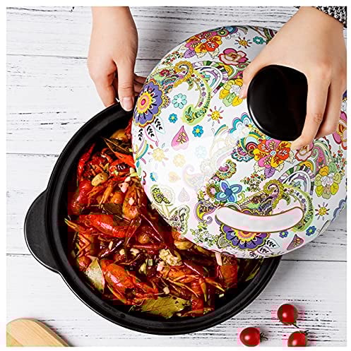 AIZYR 11inch Ceramics Tagine Pot - Casserole Steamer Braiser Pan with Spodumene Base and Cone-Shaped Lid for Cooking and Stew