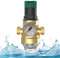 Druckminderer Wasser mit Manometer und Siebfilter, Druckregler für Trinkwasser, Messing Druckregler Überdruckventil Einstellbare Wasserdruckminderer Boiler (1)