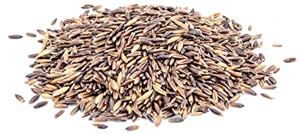 STAWA Schwarzhafer, Hochwertiges Einzelfuttermittel für Pferde, Ungesättigte Fettsäuren und Schleimstoffe, gut verdaulich und schmackhaft, 100% Naturprodukt, 25 kg