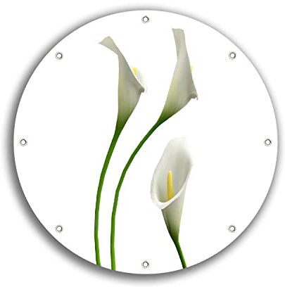 Wallario rundes Outdoor-Poster für Garten oder Balkon Callas weiß gelb, Motivbanner 30 cm Durchmesser