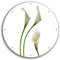 Wallario rundes Outdoor-Poster für Garten oder Balkon Callas weiß gelb, Motivbanner 30 cm Durchmesser