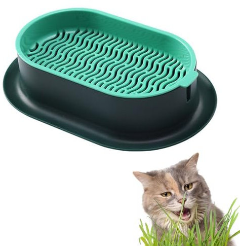 Armastuse 1 Pezzi Fioriera per Erba gatta, Coltivazione di Piante da Masticare idroponica, Germinazione Vassoio per Erba per Gatti, Adatto a Tutti i Gatti, Coltivazione Erba Gatta Biologica