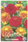 Interflowers Dahlien Knollen Blumenzwiebeln Dahlia Bunte Auswahl im Mix für Sommer Blume Knolle Blumenzwiebel Set in Bio Geschenkverpackung Blüten mehrjährig (3X Dahlie Tropical)