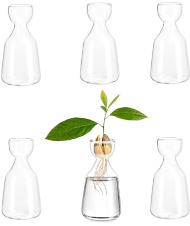 Glasseam Avocado-Glasvase, 6 Stück, Eichelbirnenvase, niedliche, klare kleine Vasen für Zuhause, Zimmer, Tischdekoration, Hydrokultur-Pflanzen-Anzuchtglas für Blumen, Stängel, Ausschnitte