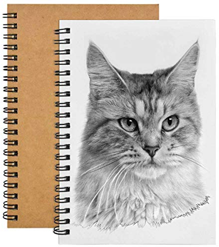 2pcs Skizzenbuch, 200 GSM / 100 Seiten A5 Skizzenheft Skizzenbuch Spiralbindung, Leeres Skizzenblock Papier, Kraft Cover Zeichnung Künstler Pad für Malen Aquarell, Journalr, Zeichnen Landschaft