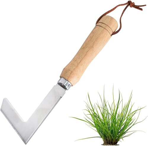 Rascador para juntas, limpiador de juntas, rascador de malas hierbas, rascador de malas hierbas con mango de madera, cuchillo para quitar musgo y malas hierbas, rascador de malas hierbas de acero inox