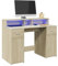 Homvdxl 120CM Computer Desk with Monitor Stand, Gaming Desk with LED Lights & 2 Cabinets for Small Spaces Home Office Desk with 2 Drawers for Bedroom, Brown