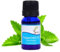 SVATV Ätherisches Pfefferminzöl, Aromatherapieöle in therapeutischer Qualität, Duftöl für Diffusor, Yoga, Massage und Heimwerker-Körperpflege, 10 ml