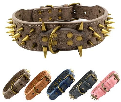 Stilvolles, scharfes, mit Stacheln besetztes Hundehalsband aus Leder - Passend für mittelgroße und große Hunde
