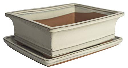 Keramik Bonsai-Schale mit Untersetzer, 4 Farben, Hochwertige Pflanzschale für Innen und Außen, Rechteckig & Oval (Weiß, 20 cm)